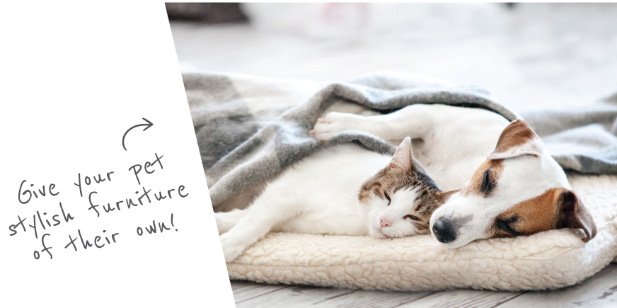 White Jack Russel dog and white tabby cat sleeping on white furry cushion and underneath a light grey blanket